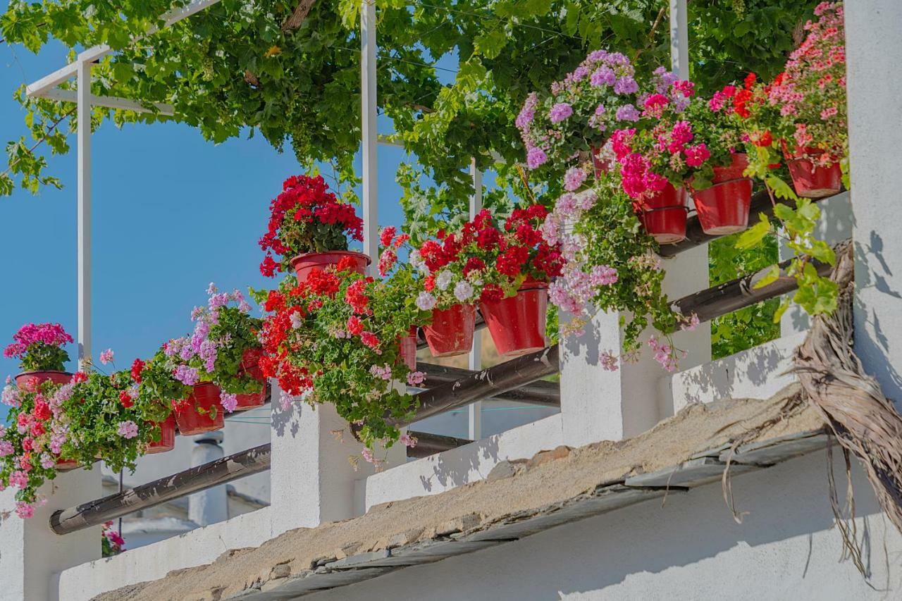 Apartamentos Rurales Las Chimeneas 카피레이라 외부 사진